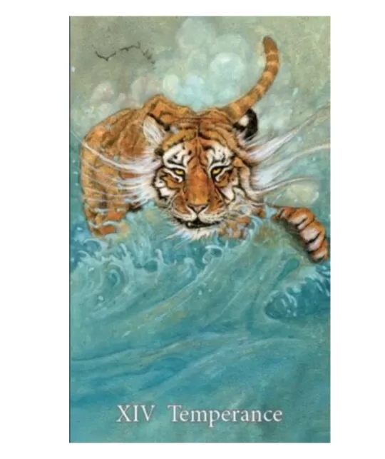 Mary-El Tarot Cards – Set tarot artistic | Emagie.ro