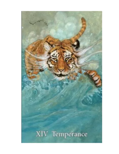 Mary-El Tarot Cards – Set tarot artistic | Emagie.ro