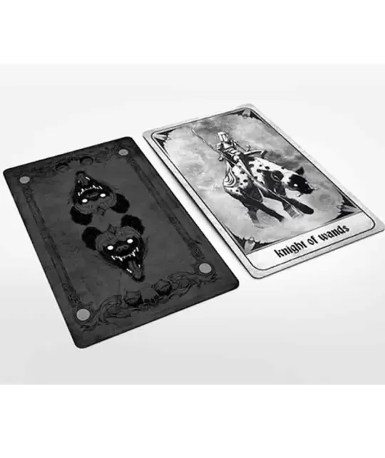 Shawn Coss Tarot – Set tarot introspectiv | Emagie.ro