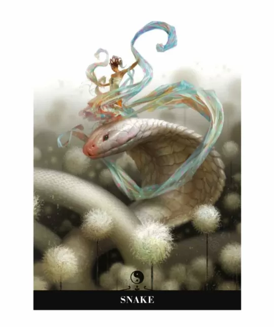 Chinese Oracle Cards – Set oracol inspirat | Emagie.ro