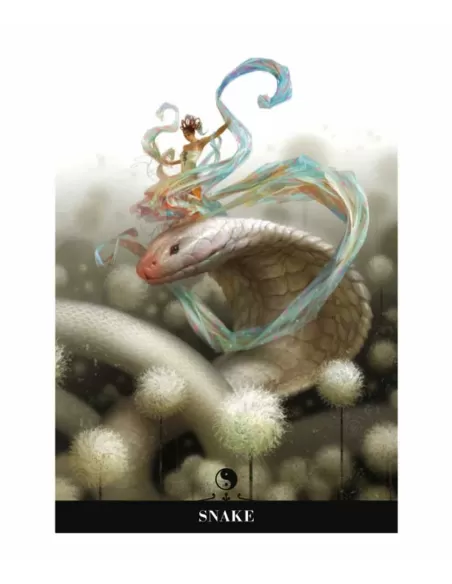 Chinese Oracle Cards – Set oracol inspirat | Emagie.ro