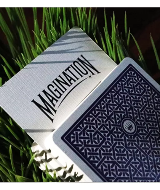 DMC Alpha V3 Portcullis Playing Cards – Cărți de joc premium | Emagie.ro