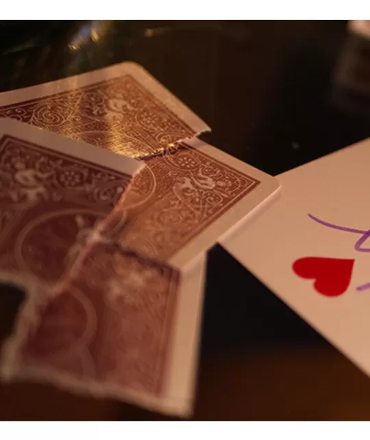 Bicycle Metallic Ruby Playing Cards – Cărți de joc premium | Emagie.ro