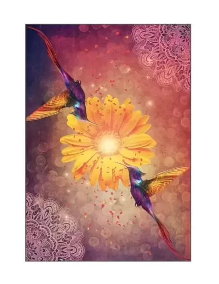 Hummingbird Wisdom Oracle Cards – Set oracol inspirativ | Emagie.ro