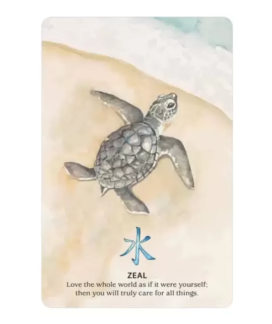 Nature Quest Oracle Cards – Set oracol inspirat | Emagie.ro