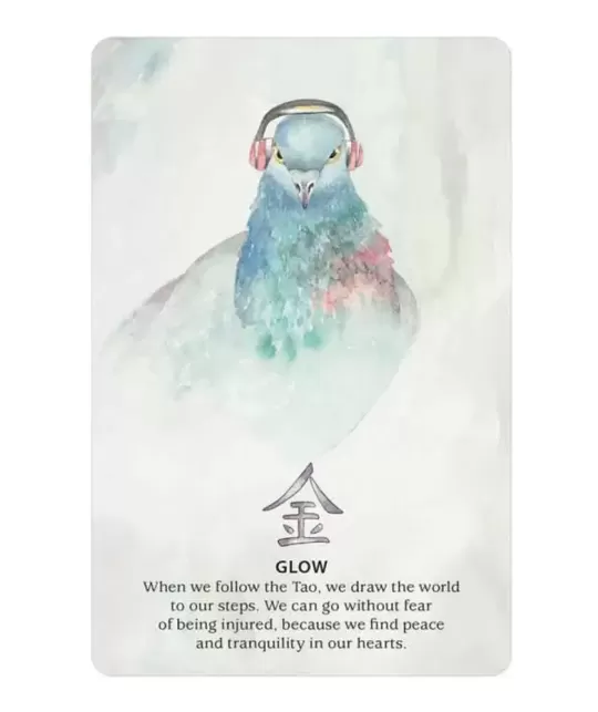 Nature Quest Oracle Cards – Set oracol inspirat | Emagie.ro