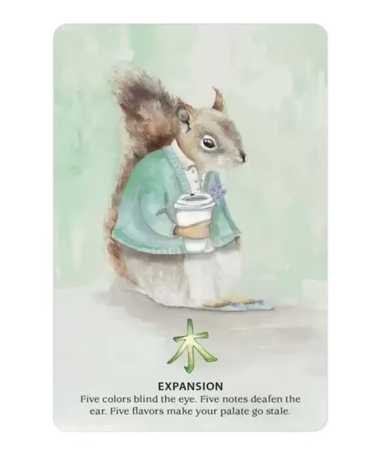 Nature Quest Oracle Cards – Set oracol inspirat | Emagie.ro