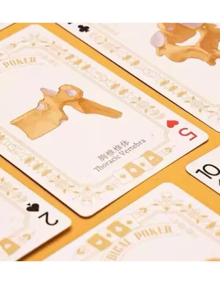 Medical Poker White Playing Cards – Premium Playing Cards | Emagie.ro