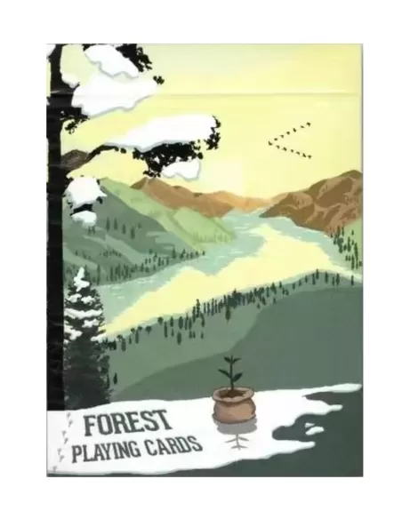 Orbit Forest Playing Cards – Cărți de joc premium | Emagie.ro