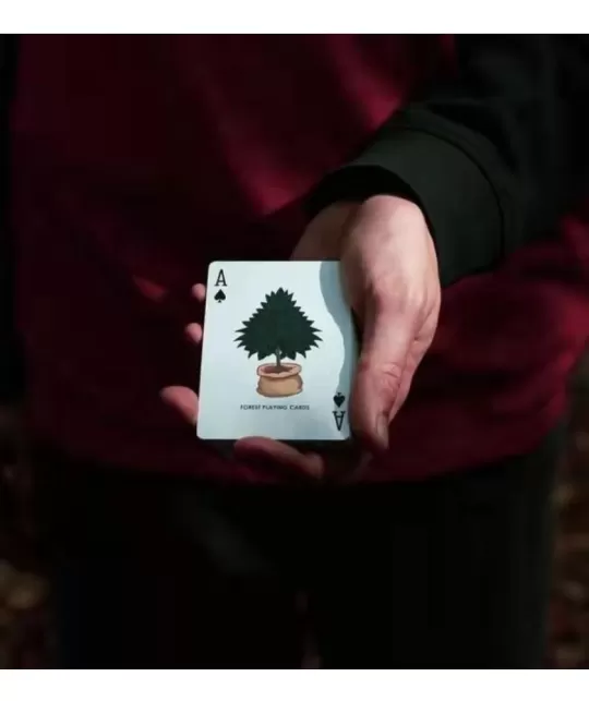 Orbit Forest Playing Cards – Cărți de joc premium | Emagie.ro