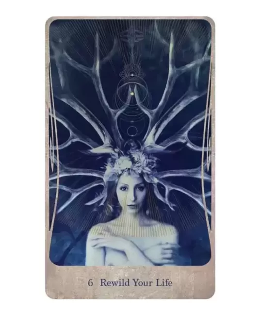 Divine Nature Oracle and Book Set – Set oracol inspirațional | Emagie.ro