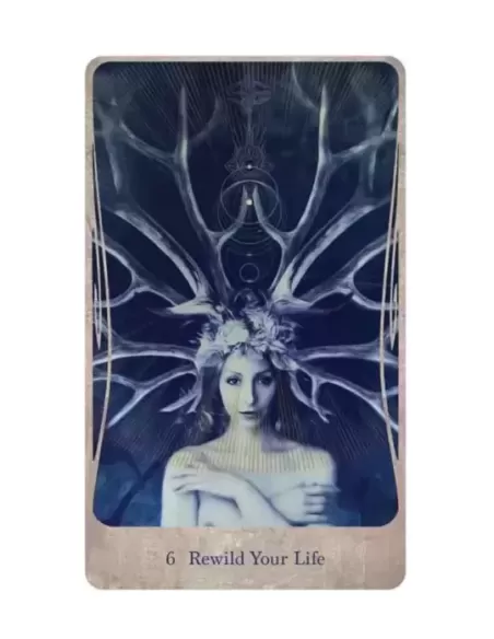 Divine Nature Oracle and Book Set – Set oracol inspirațional | Emagie.ro