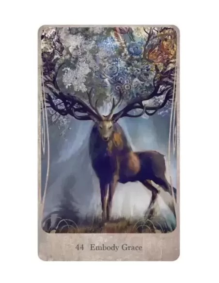 Divine Nature Oracle and Book Set – Set oracol inspirațional | Emagie.ro