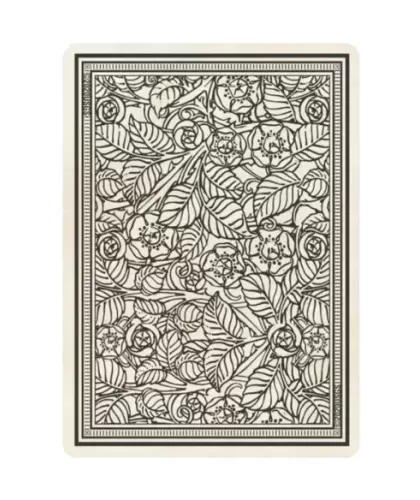 RIDER WAITE – Set tarot clasic | Emagie.ro 2