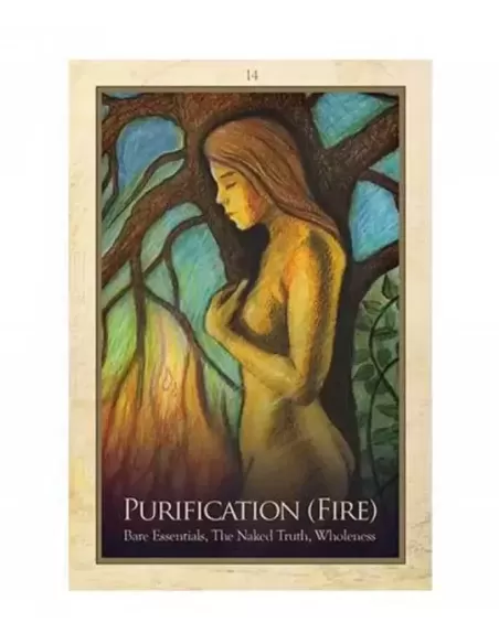 Gaia Oracle Cards Blue Angel – Set oracol inspirațional | Emagie.ro