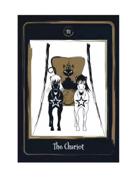 Golden Black Cat Tarot – Set tarot elegant | Emagie.ro