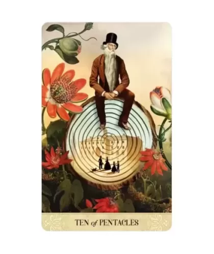 Tarot Of Mystical Moments – Set tarot elegant | Emagie.ro 2