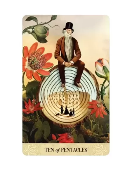 Tarot Of Mystical Moments – Set tarot elegant | Emagie.ro