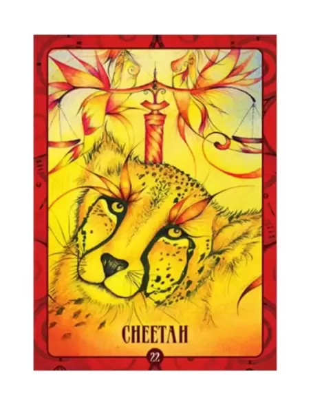 Ancient Animal Wisdom Oracle – Set oracol inspirațional | Emagie.ro