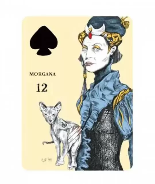 Playing Card Oracle Deck – Set tarot rafinat | Emagie.ro