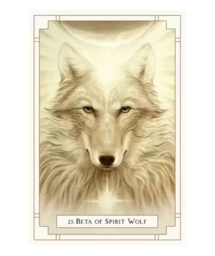 White Light Oracle – Set oracol inspirațional | Emagie.ro 2