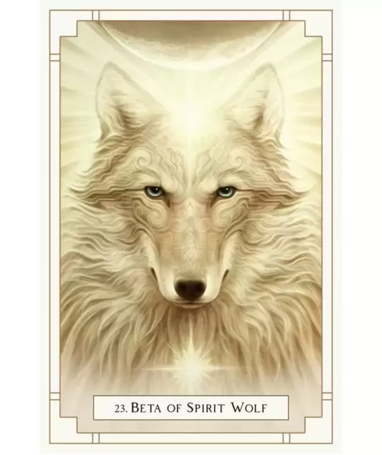 White Light Oracle – Set oracol inspirațional | Emagie.ro