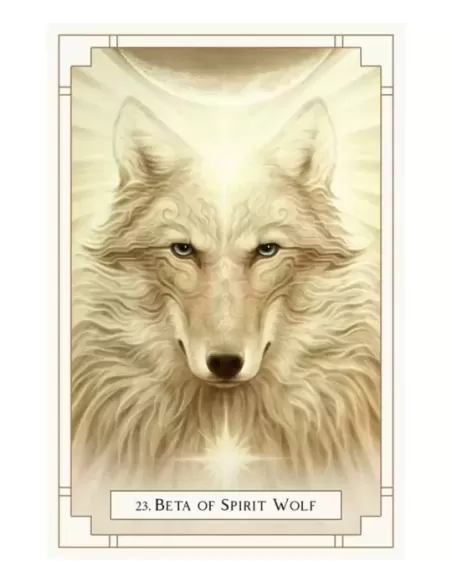 White Light Oracle – Set oracol inspirațional | Emagie.ro