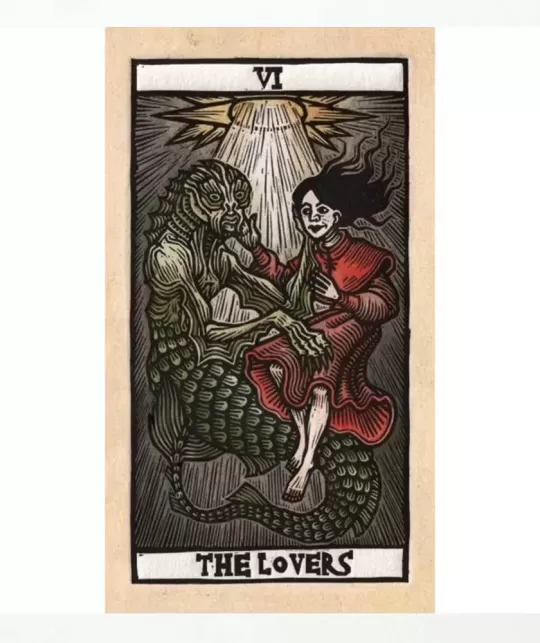 Tarot Del Toro A Tarot Deck And Guidebook – Set tarot premium | Emagie.ro