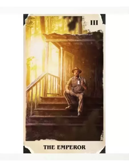 Tarot Del Toro A Tarot Deck And Guidebook – Set tarot premium | Emagie.ro