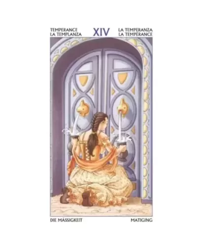 Tarot Of The 78 Doors – Set tarot profund | Emagie.ro