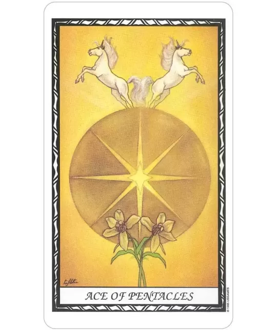 Unicorn Tarot – Set tarot mistic | Emagie.ro