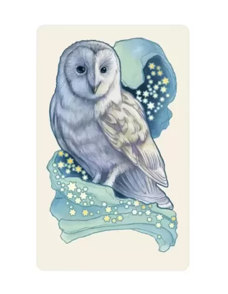 Dreamscape Oracle – Set oracol elegant | Emagie.ro