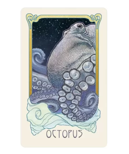 Dreamscape Oracle – Set oracol elegant | Emagie.ro