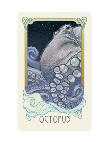 Dreamscape Oracle – Set oracol elegant | Emagie.ro