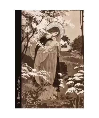 DIVINE LIGHT ORACLE CARDS – Set oracol inspirațional | Emagie.ro 2