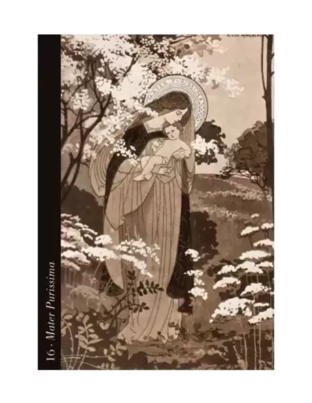 DIVINE LIGHT ORACLE CARDS – Inspirational oracle set | Emagie.ro