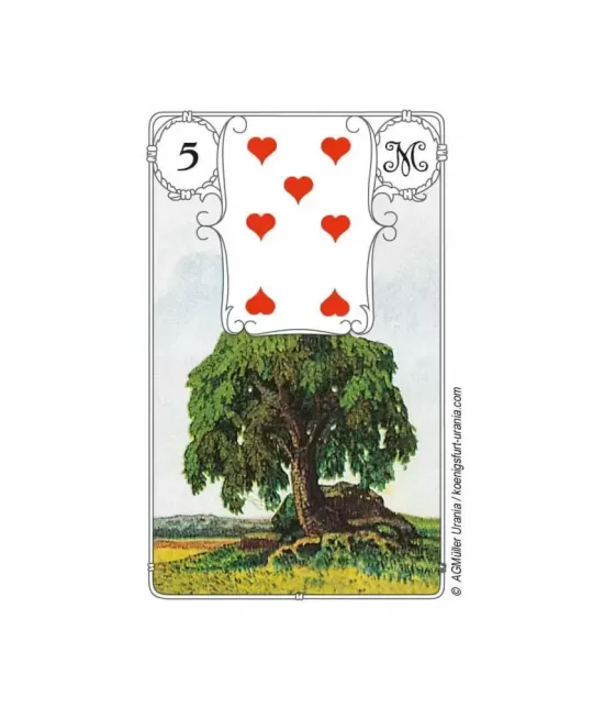 Mlle Lenormand Blue Owl – Set tarot clasic | Emagie.ro