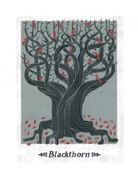 Folklore Oracle Cards – Set oracol inspirat | Emagie.ro