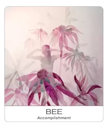 Nature And Soul Wisdom Yoga – Set tarot echilibrat | Emagie.ro 2