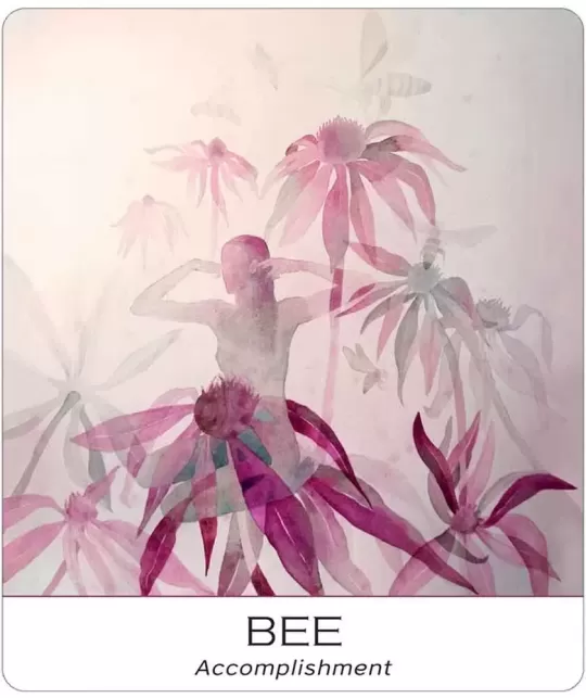 Nature And Soul Wisdom Yoga – Set tarot echilibrat | Emagie.ro