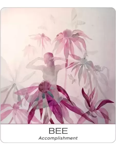 Nature And Soul Wisdom Yoga – Set tarot echilibrat | Emagie.ro