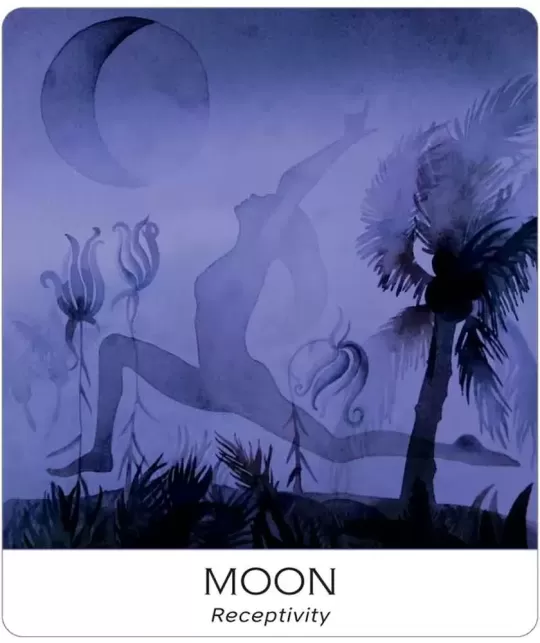 Nature And Soul Wisdom Yoga – Set tarot echilibrat | Emagie.ro