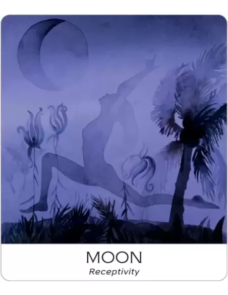 Nature And Soul Wisdom Yoga – Set tarot echilibrat | Emagie.ro