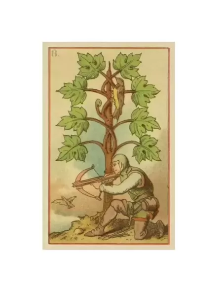 Medieval Fortune Telling Cards – Set tarot istoric | Emagie.ro