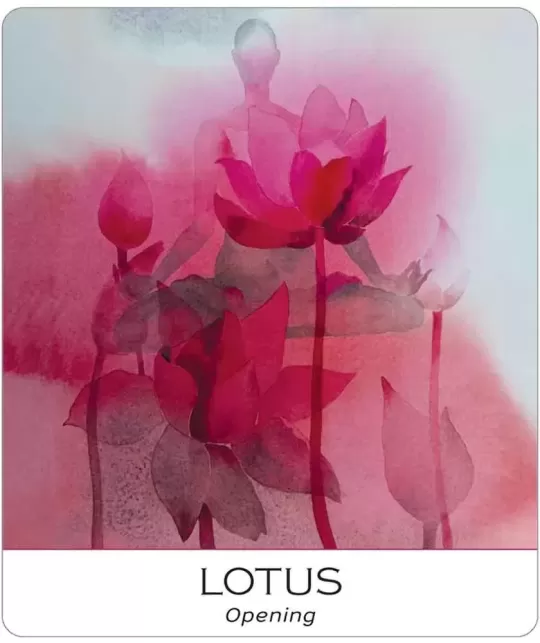 Nature And Soul Wisdom Yoga – Set tarot echilibrat | Emagie.ro