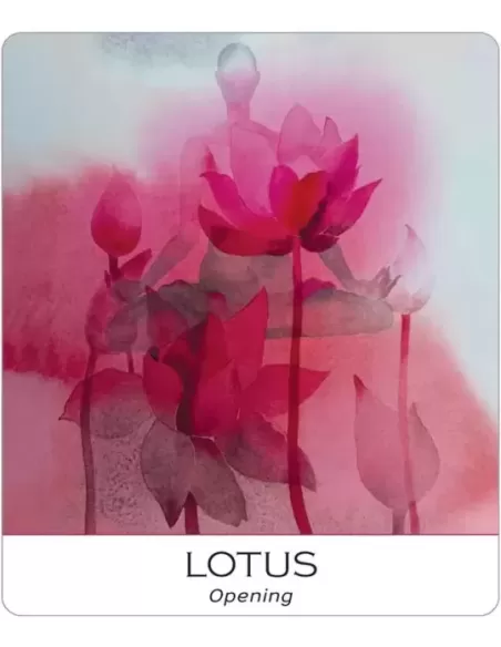 Nature And Soul Wisdom Yoga – Set tarot echilibrat | Emagie.ro