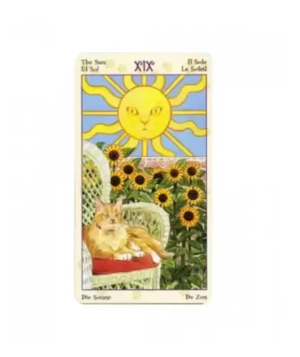 Pagan Cats Tarot Mini – Set tarot profund | Emagie.ro