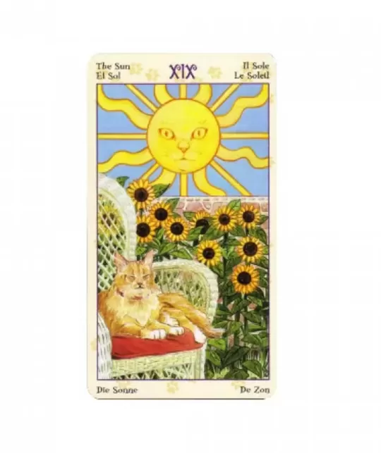 Pagan Cats Tarot Mini – Deep Tarot Set | Emagie.ro