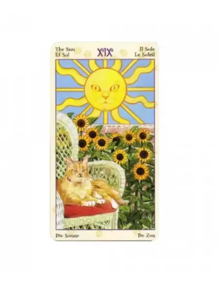Pagan Cats Tarot Mini – Deep Tarot Set | Emagie.ro