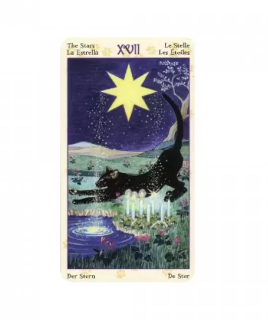 Pagan Cats Tarot Mini – Deep Tarot Set | Emagie.ro